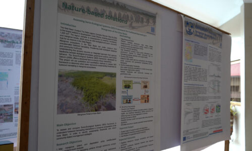 Posters2